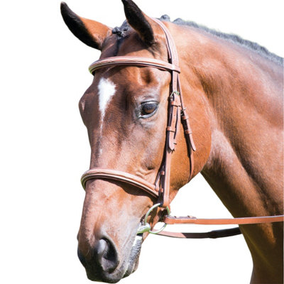 Avignon Leather Horse Cavesson Bridle Oak Brown (Pony) DIY at B&Q