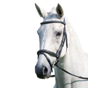 Avignon Padded Leather Horse Bridle Black (Pony)