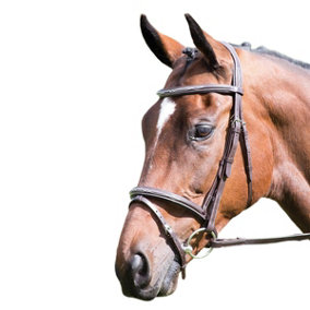 Avignon Padded Leather Horse Bridle Havana (X Full)