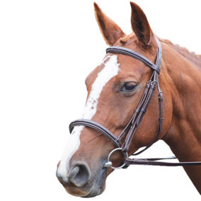 Avignon Padded Leather Horse Cavesson Noseband Havana (Pony)