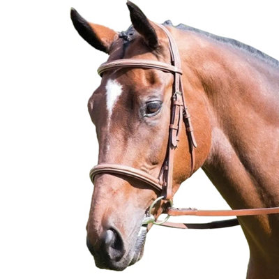 Avignon Padded Leather Horse Cavesson Noseband Oak (X Full) Price Comparisons | Compare The Build
