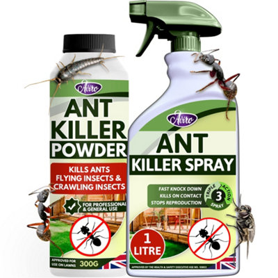 6pk Ant Traps Indoor & Outdoor - Ant Bait Stations for Home - Ant Killer  Indoor - Ant Trap - Stop Ant Bait Station