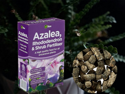 Azalea Rhododendron and Shrub Fertiliser 0.9kg Organic Feed with Iron for  Acid Loving Plants Promotes