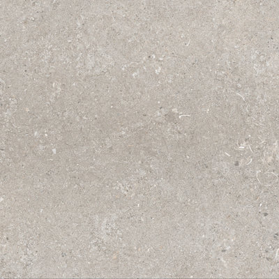 Azure Matt Grey Concrete Effect Porcelain Outdoor Tile - Pack of 2, 0.72m�² - (L)600x(W)600