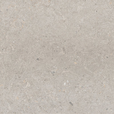 Azure Matt Grey Concrete Effect Porcelain Outdoor Tile - Pack of 2, 0.72m² - (L)600x(W)600