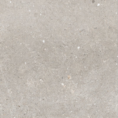 Azure Matt Grey Concrete Effect Porcelain Outdoor Tile - Pack of 64, 23.04m² - (L)600x(W)600