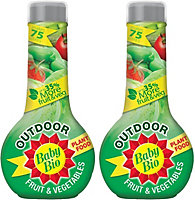Baby Bio Outdoor Fruit and Vegetable Feed Concentrate 2 x 750 ml