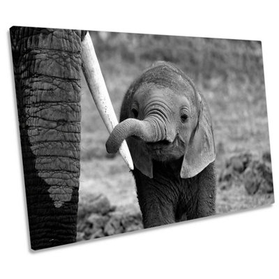 Baby Elephant Wildlife CANVAS WALL ART Print Picture (H)40cm x (W)61cm