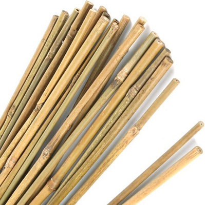 Bamboo Cane 60cm, Pack of 30 Garden