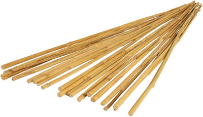 Bamboo Cane 91.5cm, Pack of 30 Garden