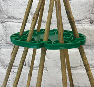 Bamboo Cane Holder Wig-Wam Plant Supports (Pack of 10)