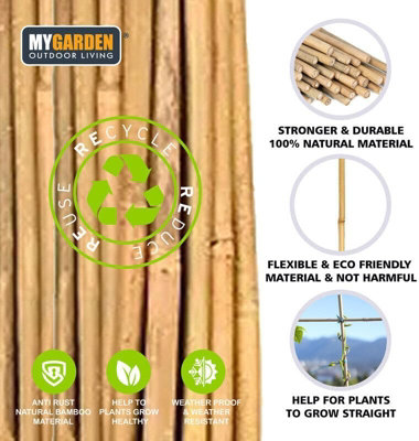 Bamboo Cane Sticks Pack of 20 Green Plant Support Sticks 90cm Bamboo ...