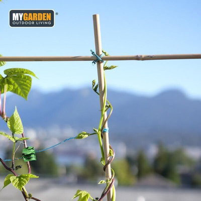 Bamboo Cane Sticks Pack of 20 Green Plant Support Sticks 90cm Bamboo ...