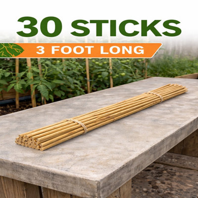 Bamboo Garden Support Canes Thin Natural and Durable 91.5 cm (30 bamboo ...