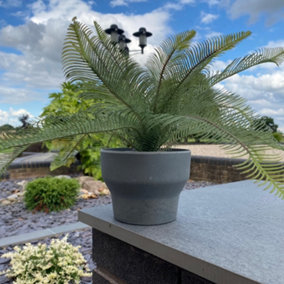 Bamboo Orchid Planter - Anthracite Grey