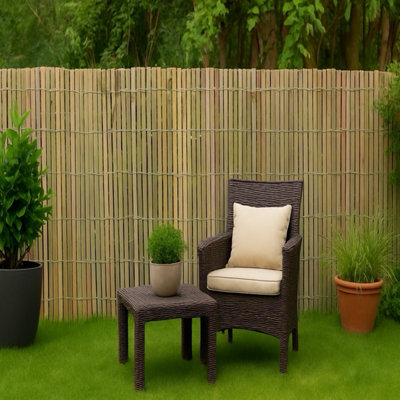 winter joy bambus Bambus Winter Joy (Fargesia nitida 'Winter Joy') | 175-200 cm im Topf
