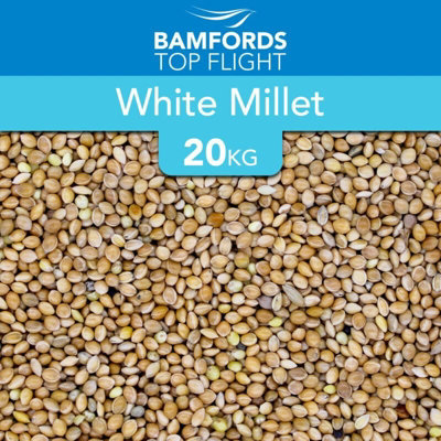White Millet Bird Seed