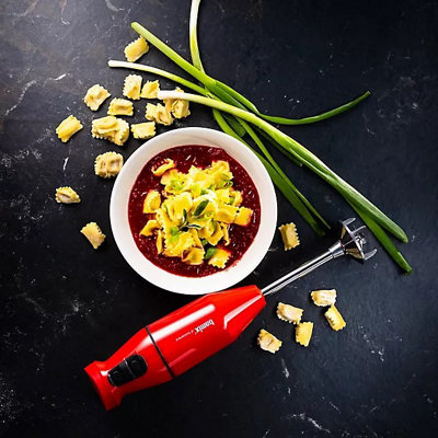 Bamix 1120.013 Cordless Pro Hand Blender Red