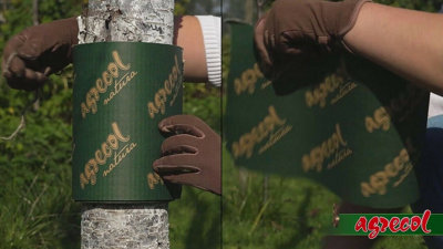 BAND FOR TREE TRUNKS, BIOLOGICAL PROTECTION OF FRUIT TREES, AGAINST ...