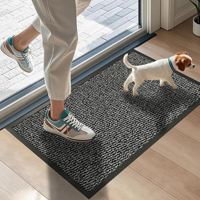 Barrier Mat 50 x 80 cm Silver Anti-Slip Waterproof Door Mat