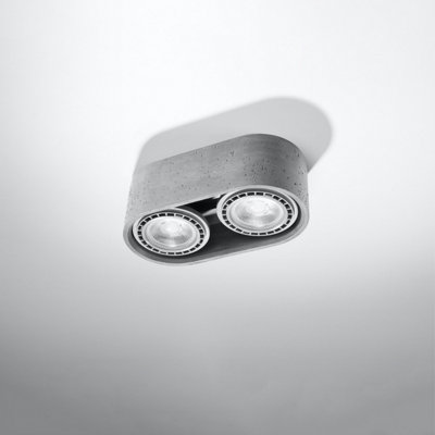 Basic Concrete Grey 2 Light Classic Ceiling Light