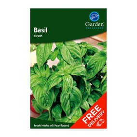 Basil Sweet (Ocimum basilicum)