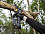 Batavia 7064356 NEXXSAW 7" 110mm 18V One Hand Cordless Chainsaw Pruner 1x2.0Ah