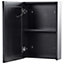 Bathroom Wall Mounted Mirror Cabinet with LED 40 x 60 cm Black CONDOR