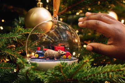 Bauble with a drat and toy train inside.