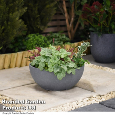 Bayadere Bowl Planter Dark Grey for Garden Outdoor Patio Durable Weatherproof Plastic (x1)