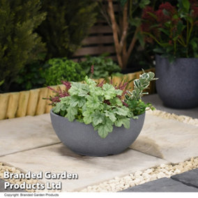 Bayadere Bowl Planter Dark Grey for Garden Outdoor Patio Durable Weatherproof Plastic (x1)