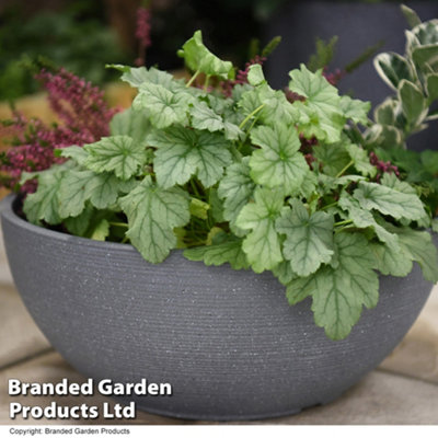 Bayadere Bowl Planter Dark Grey for Garden Outdoor Patio Durable Weatherproof Plastic (x3)