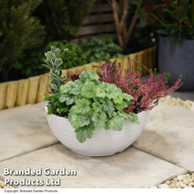 Bayadere Bowl Planter Light Grey for Garden Outdoor Patio Durable Weatherproof Plastic (x2)