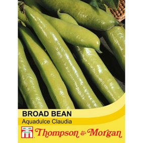 Bean (Broad Bean) Aquadulce Claudia 1 Seed Packet (45 Seeds)
