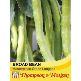 Bean (Broad) Masterpiece Green Longpod 1 Seed Packet (30 Seeds)