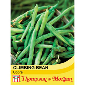 Bean (Climbing French) Cobra 1 Seed Packet (70 Seeds)