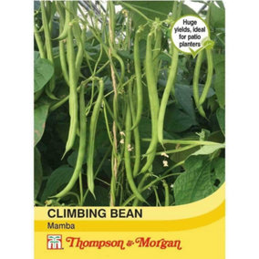 Bean Climbing Mamba 1 Seed Packet (45 Seeds)