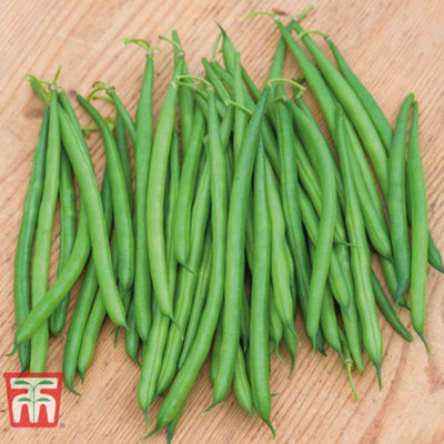 Bean Dwarf Caledonia 1 Seed Packet (100 Seeds)