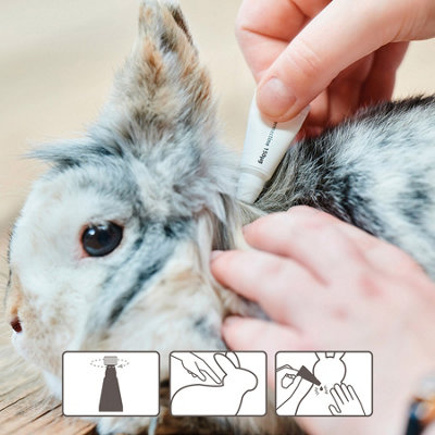 Photo inspiration: Guinea Pig Parasite Removal Methods Home Reference: Beaphar Rabbit Guinea Pig Anti Parasite Spot On 4 Tubes