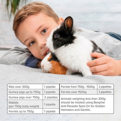 Photo inspiration: Gallery Detail: Beaphar Rabbit Guinea Pig Anti Parasite Spot On 4 Tubes