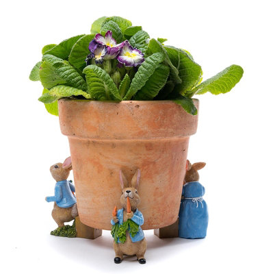 Beatrix Potter Peter Rabbit Plant Pot Feet - Set of 3 - Peter Eating ...