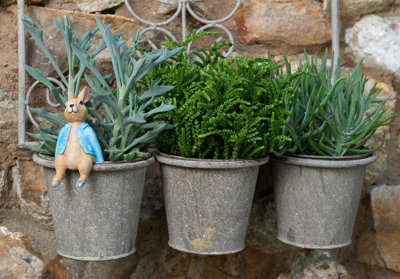 Beatrix Potter Peter Rabbit Sitting Plant Pot Hanger - L10 x W5 x H5.5 cm