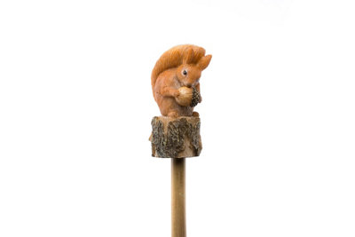 Beatrix Potter Set of 5 Coloured Cane or Stake Toppers Peter Rabbit, Jeremy Fisher, Benjamin Bunny, Mr Tod, Squirrel Nutkin