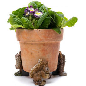 Beatrix Potter Squirrel Nutkin and Old Brown Plant Pot Feet - Set of 3