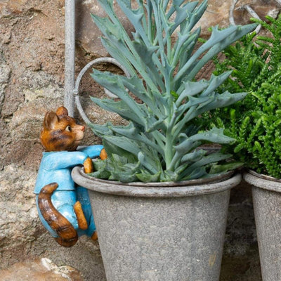 Cane Companions Ornamento Da Giardino Beatrix Potter – Tom Kitten – Vaso Portafiori Per Canne E Paletti – Resistente Al Gelo E UV – Confezione Regalo