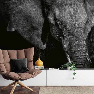 Beautiful Elephant Mural - 384x260cm - 5080-8