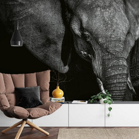 Beautiful Elephant Mural - 384x260cm - 5080-8