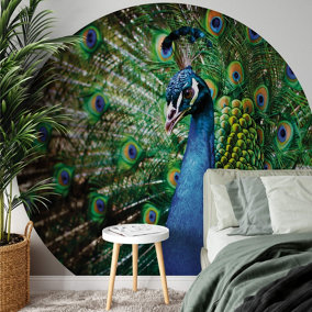 Beautiful Peacock Mural - 144x144cm - 5490-R