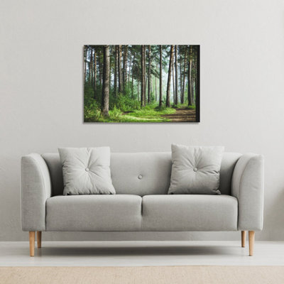 Beautiful summer forest with different trees (Canvas Print) / 127 x 101 x 4cm