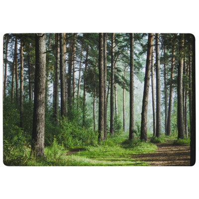 Beautiful Summer Forest With Different Trees Designer Special Soft Home Rug